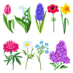 Wall Mural - Set of spring flowers. Beautiful decorative bouquet of blooming plants.