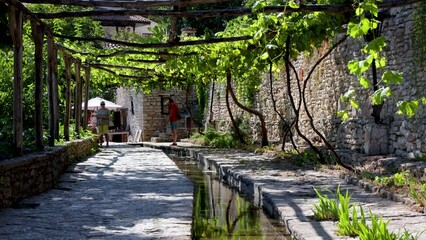 Sticker - Grapevines Alley in Palace architectural park and botanical garden complex Balchik town, Bulgaria