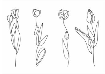 Wall Mural - Set of tulip flowers drawn by one line. Spring image in lineart style. Vector illustration. Hand drawing