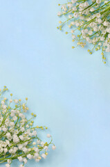 Wall Mural - white flowers lily of the valley ( convallaria majalis, may bells, may lily ) on a blue paper backgr