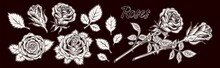 Clip Art With Lush Blooming Roses And Leaves. Single Flowers And Flowers With Stem. Engraving Vintage Style. Isolated Monochrome Vector Illustration White On Black.