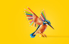 Kingfisher Bird Of Pencil Colourful Yellow Background