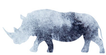 Rhinoceros Watercolor Silhouette, On White Background, Isolated, Vector