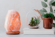 Himalayan Salt Lamp On Table With Home Plants And Book