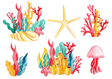 Set Coral, Starfish, Jellyfish And Algae On An Isolated White Background. Watercolor Drawing