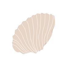 Cup Shell - Sea Beige Pastel Flat Illustration. Vector Isolated On White Background.