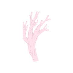 Coral branch - pink pastel flat illustration. Vector isolated on white background.