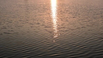 Wall Mural - Warm color water surface ripple with shining sunlight reflection in the lake