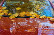 Autumn bright colorful maple leaves stick on windshield of car, leaf fall