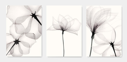 Poster - Black and white luxury watercolor art background with transparent x-ray flowers. Ink botanical design for interior design, decor, packaging, invitations, print