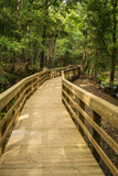 Fototapeta Dziecięca - Wooden footbridge in Stanislaus fountain park