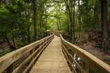Fototapeta Do pokoju - Wooden footbridge in Stanislaus fountain park