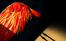 A Flamingo Is Seen With Itâ€™s Beak Buried In Itâ€™s Feathers As It Rests In A 3-d Illustration That Is A Digital Watercolor.