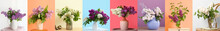Collage With Bouquets Of Beautiful Lilac Flowers On Colorful Background