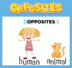 Poster - Opposite English words for kids