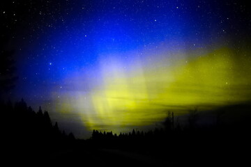 Wall Mural - aurora borealis colored in blue and yellow like the ukrainian flag