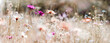 wildblumenwiese pastell farben natur banner