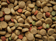 Background Texture Pet Food For Dogs And Cats