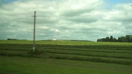 Wall Mural - Rural landscape in summer. Footage of a beautiful field and sky.