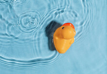 Yellow Rubber Toy Duck In A Blue Pool. Summer Concept. Top