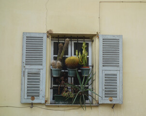 Sticker - Beautiful shot of plants hanging on a window