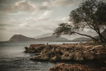 rocky shore and hills