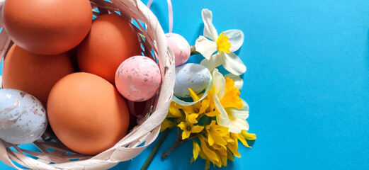 Wall Mural - Top view shot of Chicken eggs in a white basketwith yellow shrub flowers.