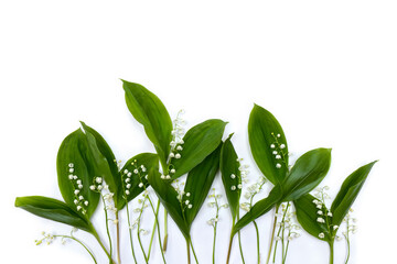 Wall Mural - white flowers lily of the valley ( convallaria majalis, may bells, may lily ) with green leaves on a
