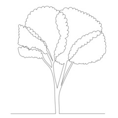 Wall Mural - tree drawing by one continuous line, vector