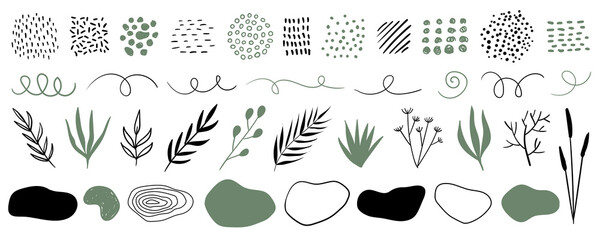 Wall Mural - hand drawn plants, organic shapes, dots, lines. vector set of minimal trendy abstract natural elemen