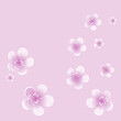 Purple Violet flowers isolated on violet background. Apple-tree flowers. Cherry blossom. Vector