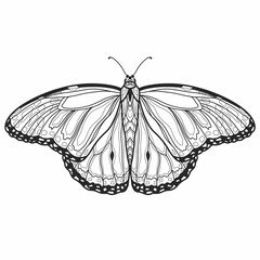 Wall Mural - Hand drawn ornamental butterfly outline illustration with decorative ornaments