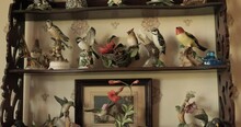 Slow Push Into A Wooden Shelf With Bird Figurines