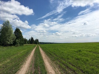 Wall Mural - country road in the field