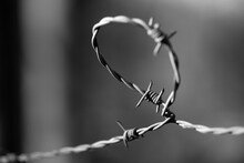 Barbed Wire With Clusters Of Short, Sharp Spikes Set Along It, Used To Make Fences Or In Warfare, Prisons Or Agriculture As An Obstruction; Close Up Black And White With Knot And Bend Or Loop Sling.