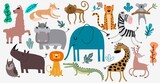 Fototapeta Pokój dzieciecy - Cute Jungle Animals Vector Set