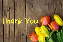Thank You Message, Colorful Tulips On Wooden Background. Spring Flower Background With Blooming Tulips, Mockup Template With Copy Space, Backdrop For Seasonal Greeting Card Celebration. Mother's Day. 