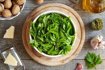 Wall Mural - Fresh goutweed leaves with oil, walnuts, parmesan cheese and garlic - ingredients for pesto