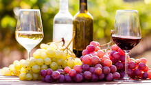 Glasses Of Red And White Wine And Ripe Grapes On Table In Vineyard