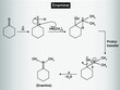 An enamine is an unsaturated compound derived by the condensation of an aldehyde or ketone with a secondary amine. 
