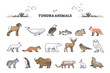 Tundra animals collection with natural habitat creatures type outline set. Wildlife mammals for treeless Arctic region vector illustration. Typical fauna example with seals, fox, rabbits and wolf.