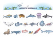 Aquatic animals collection with sea and ocean wildlife outline items set. Nature underwater fauna with dolphins, whales, fishes, octopus, jellyfish and seals vector illustration. Zoology marine life.