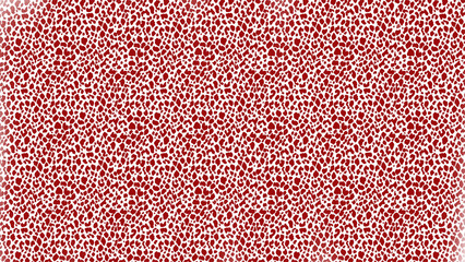 abstract red pattern background, background with copy space, vector.