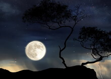  Trees Silhouette On Front Night  Starry Sky  And Moon Dramatic Panorama Nature Weather Forecast