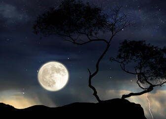 Wall Mural - trees silhouette on front night starry sky and moon dramatic panorama nature weather forecast