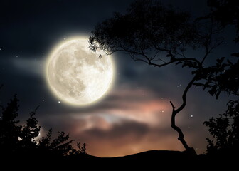 Wall Mural - trees silhouette on front night starry sky and moon dramatic panorama nature weather forecast