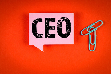 Wall Mural - CEO. Pink speech bubble with text on an orange background