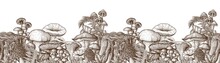 Seamless Horizontal Pattern Mushrooms Near The Stump In The Style Of Engraving. Linear Graphic Fly Agaric, Chanterelles, Porcini Mushrooms, Honey Mushrooms, Morel, Mycena, Russula, Boletus