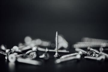 Wall Mural - Macro photo of screws. Set of screws. Construction abstraction. Industrial background. Screws macro photo, screw background, steel screw, screw macro.