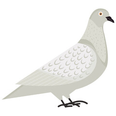 Poster - Pigeon 